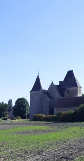 Гостиница Chateau de Chémery  Шемери